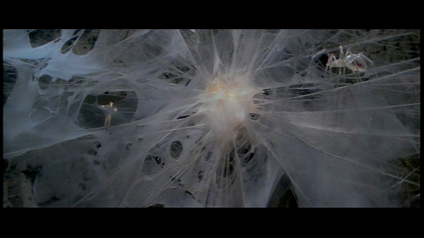 Web scene. Кристальный паук. Кристаллический паучок. Кристаллы пауки мир. Прожектор на Хрустальном пауке из крулла (1983).